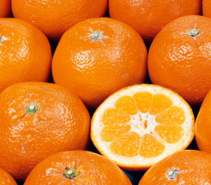 「果実のダイヤモンド」と称される “セミノールオレンジ”