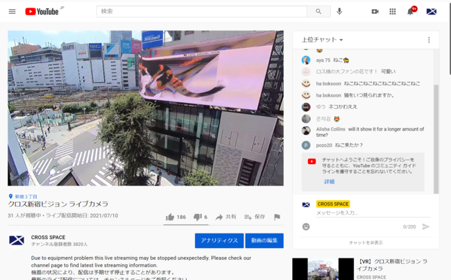 YouTubeライブ配信画面。この視点では巨大猫はゆがんで見えます