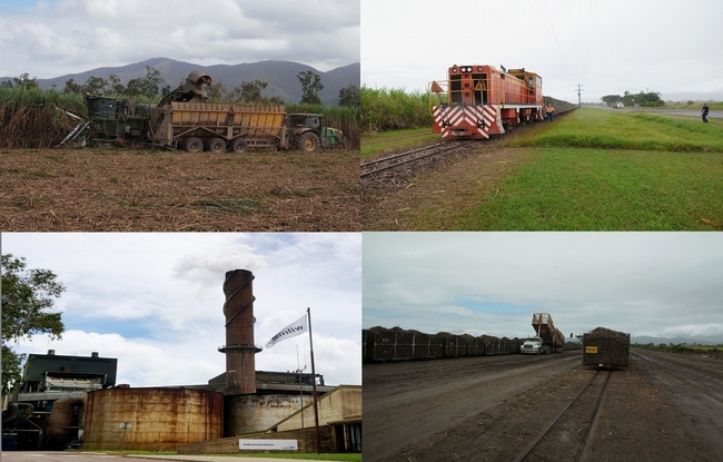 クイーンズランド州バーデキン地区｜サトウキビの刈取り、運送システム、粗糖工場の様子
