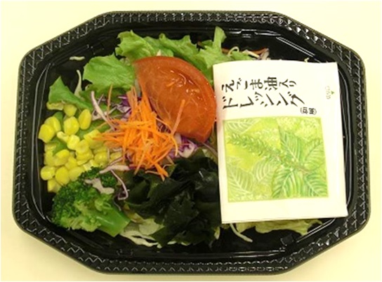 彩り野菜のサラダ（198円）