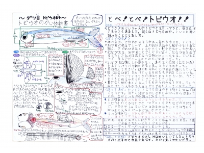 第35回「海とさかな自由研究・作品コンクール」受賞作決まる