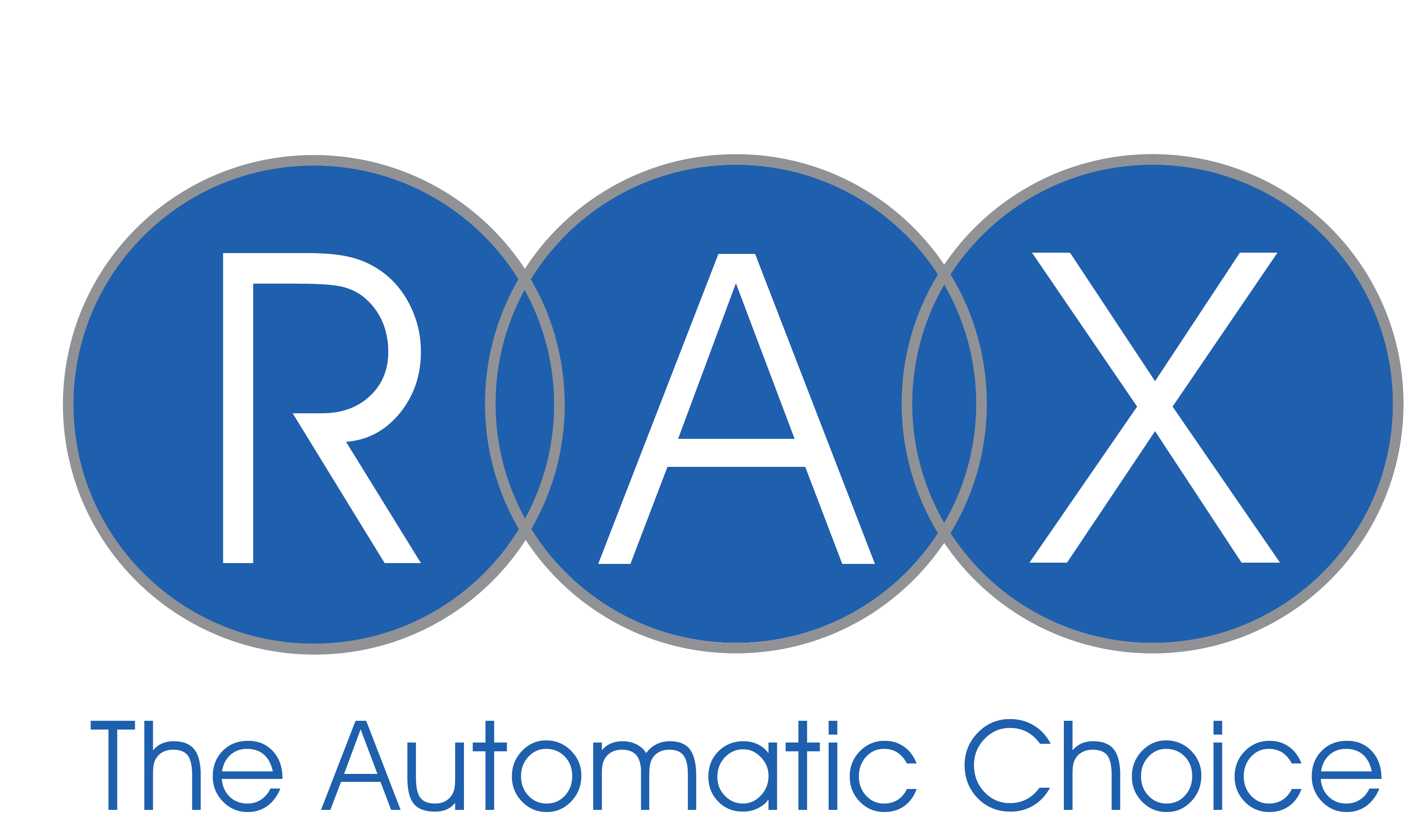 RAXグループについて
