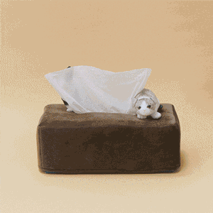 子猫たちの無邪気な表情やポーズが楽しめる 子猫がかくれんぼするボックスティッシュカバー がフェリシモ 猫部 から登場 株式会社フェリシモのプレスリリース 子猫たちの無邪気な表情やポーズが楽しめる 子猫がかくれんぼするボックスティッシュカバー がフェリシモ 猫部 から登場 株式会社フェリシモのプレスリリース