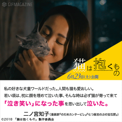 GIFMAGAZINEが映画『猫は抱くもの』の公式GIFチャンネルをオープン!