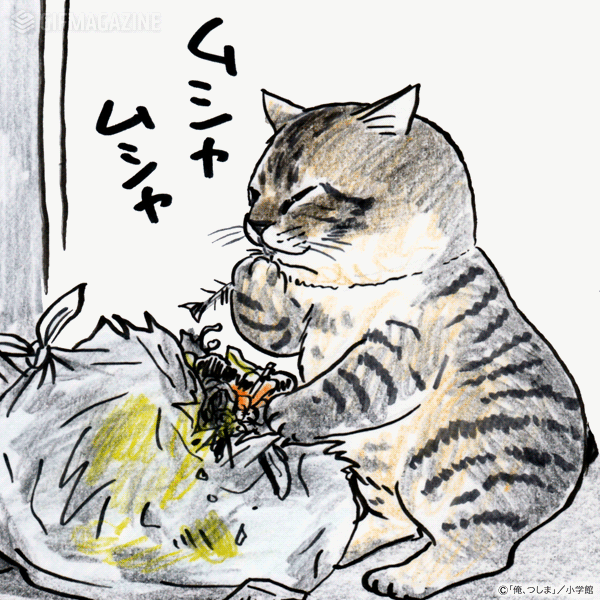 Gifmagazineが大ブレイクの猫マンガ 俺 つしま の公式チャンネルをオープン 株式会社gifmagazineのプレスリリース Gifmagazineが大ブレイクの猫マンガ 俺 つしま の公式チャンネルをオープン 株式会社gifmagazineのプレスリリース