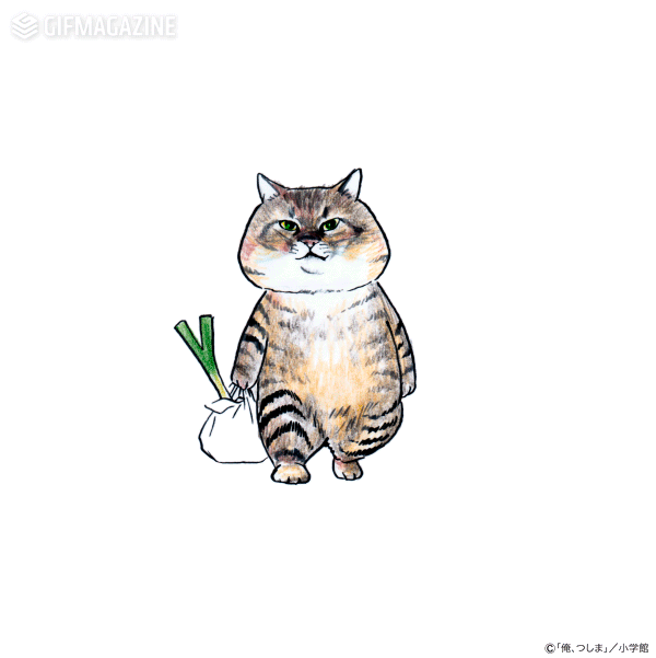 Gifmagazineが大ブレイクの猫マンガ 俺 つしま の公式チャンネルをオープン Osdn Magazine Gifmagazineが大ブレイクの猫マンガ 俺 つしま の公式チャンネルをオープン Osdn Magazine