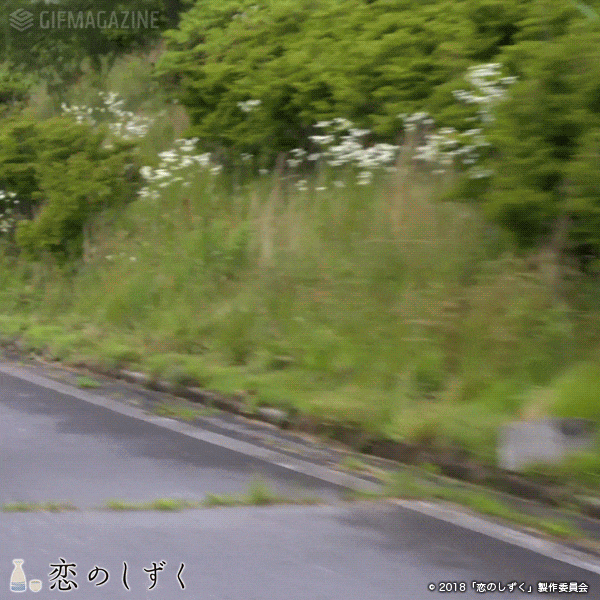 Gifmagazineが映画 恋のしずく のgif公式チャンネルをオープン 企業リリース 日刊工業新聞 電子版 Gifmagazineが映画 恋のしずく のgif公式チャンネルをオープン 企業リリース 日刊工業新聞 電子版
