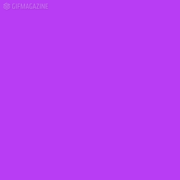 Gifmagazineがハリウッドザコシショウを撮り下ろし コラボgifを公開 Oricon News Gifmagazineがハリウッドザコシショウを撮り下ろし コラボgifを公開 Oricon News