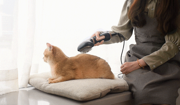 クラウドファンディング開始 Sumataco Z9 これ一台で愛犬 愛猫の毛並みを完璧にセット 2 In 1のペットドライヤー ブラシをgreen Fundingで 企業リリース 日刊工業新聞 電子版 クラウドファンディング開始 Sumataco Z9 これ一台で愛犬 愛猫の毛並みを完璧にセット 2 In 1のペットドライヤー ブラシをgreen Fundingで 企業リリース 日刊工業新聞 電子版