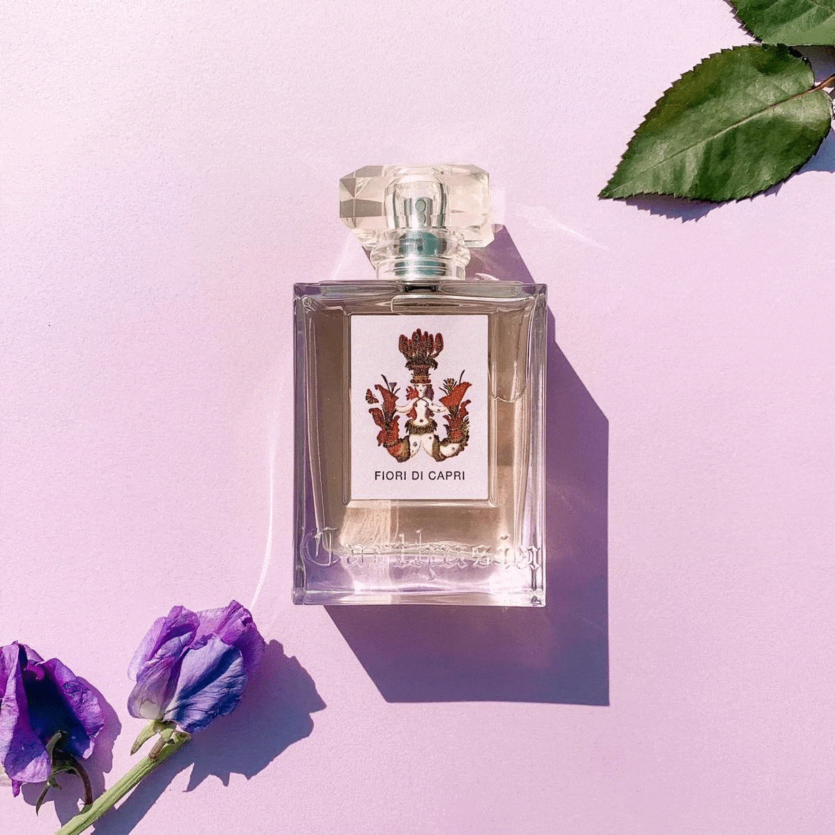 無料 ガチャで香水をゲット Stay Homeを香りで彩る Classy クラッシィ 無料 ガチャで香水をゲット Stay Homeを香りで彩る Classy クラッシィ
