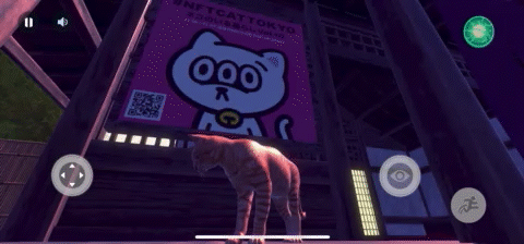 ポスターの設置を喜ぶ猫