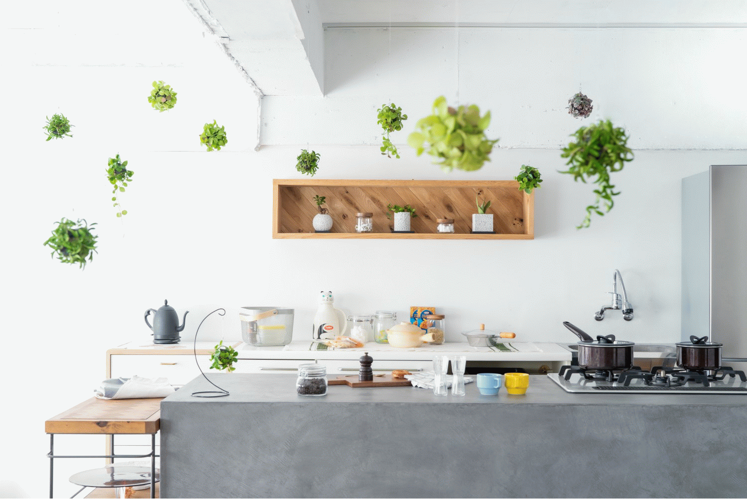 販売累計万個突破の消臭グリーン Eco Pochi 進化した最新バージョンが ハンギングスタイルでふわりと登場 おうち時間に観葉植物の癒しとセンスアップした豊かな暮らしを提供 株式会社エコ アースのプレスリリース 販売累計万個突破の消臭グリーン Eco Pochi 進化した最新バージョンが ハンギングスタイルでふわりと登場 おうち時間に観葉植物の癒しとセンスアップした豊かな暮らしを提供 株式会社エコ アースのプレスリリース