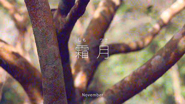茶茶 ツバキの種から作られた台湾ブランドの天然洗剤 5年の歳月をかけ日本に上陸 年5月26日 火 よりmakuakeにて販売開始 Oricon News 茶茶 ツバキの種から作られた台湾ブランドの天然洗剤 5年の歳月をかけ日本に上陸 年5月26日 火 よりmakuakeにて販売開始 Oricon News