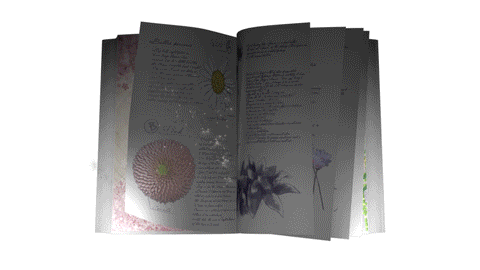 これまでにないNFTアートの形で楽しむ『NAKED BIG BOOK』