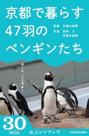 手の中に47羽のペンギン写真集 株式会社ブックウォーカーのプレスリリース