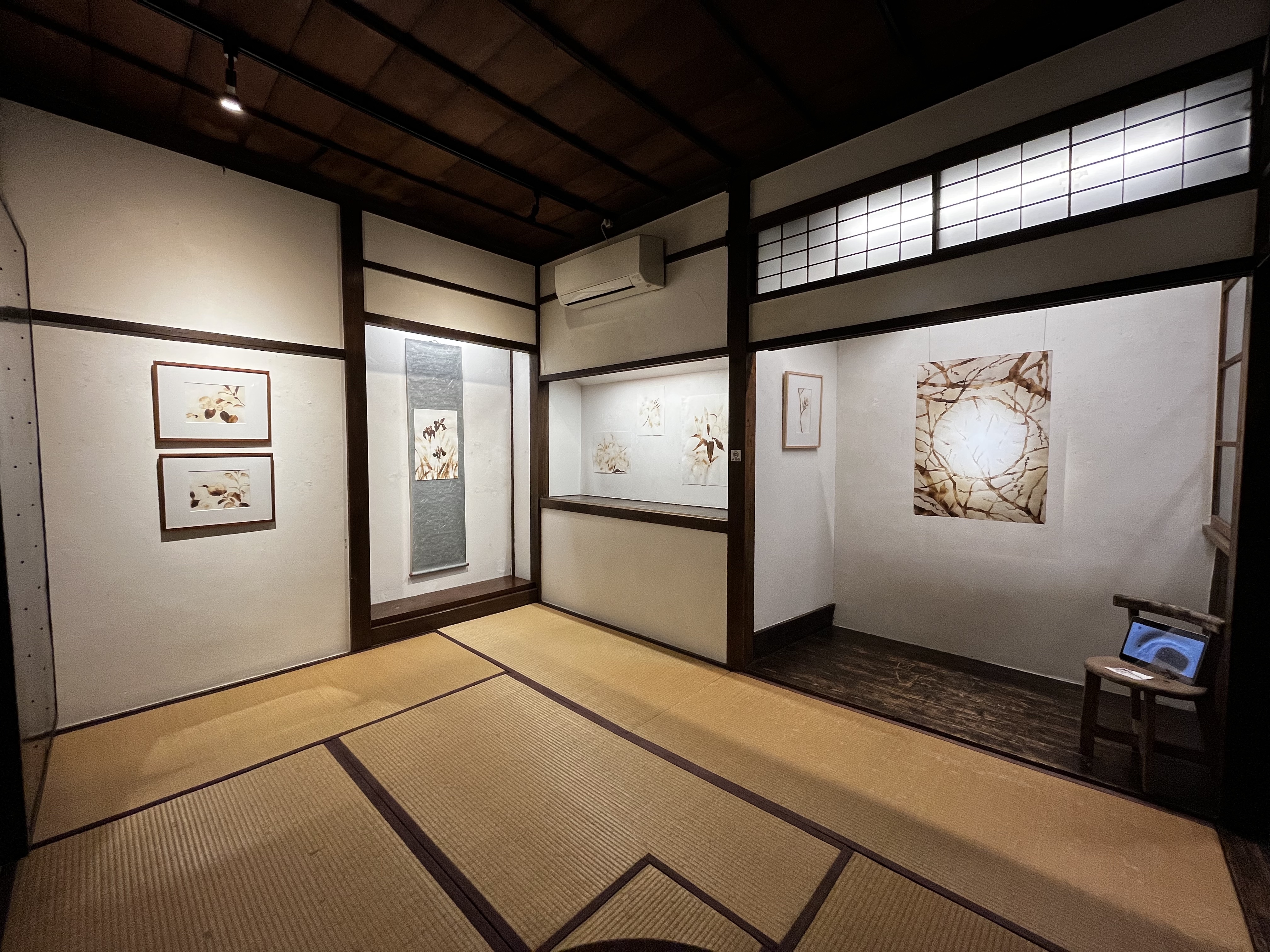 展示の様子