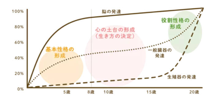 心の土台育ては12歳までに完成する。