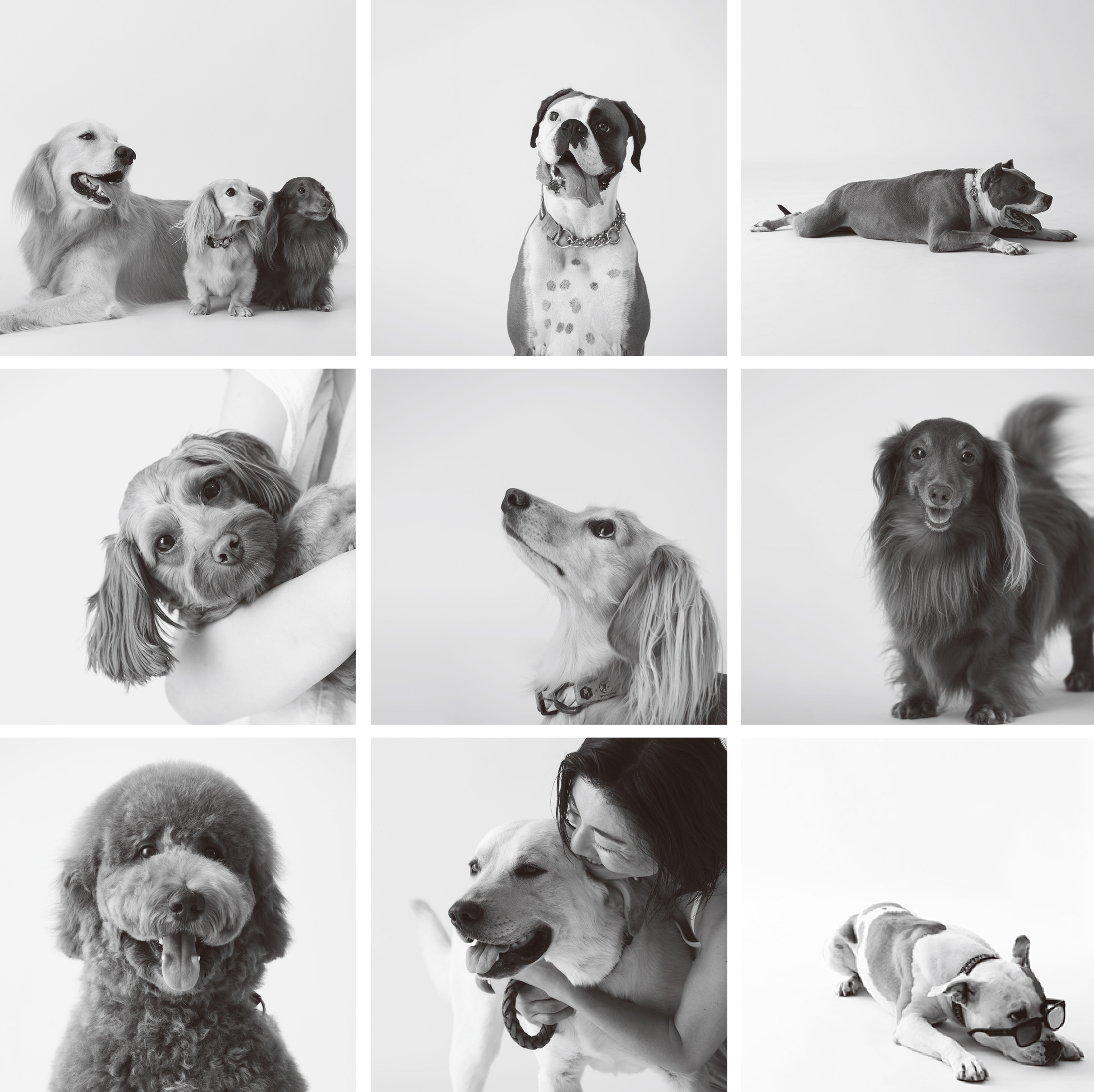 ―　愛犬のモノクロポートレート写真を世界にひとつだけのアートに―