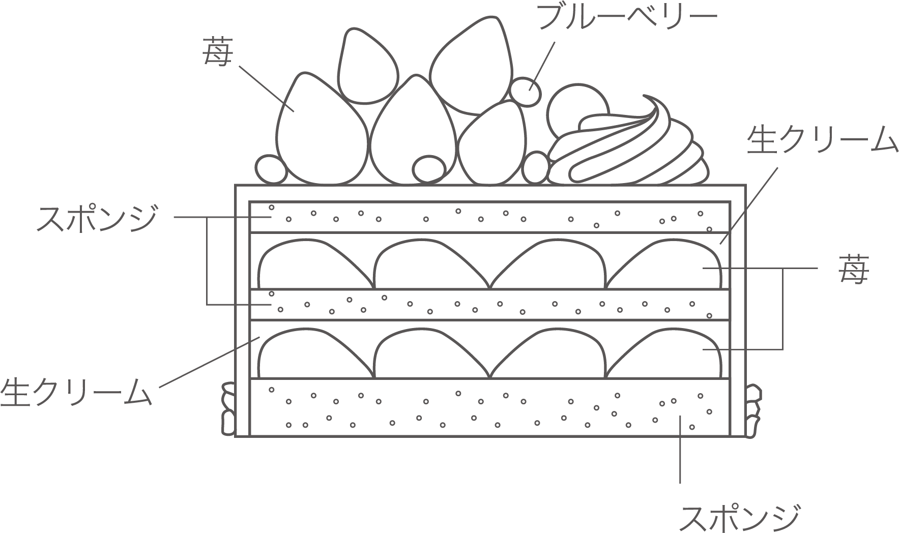 スノービューティー 断面図