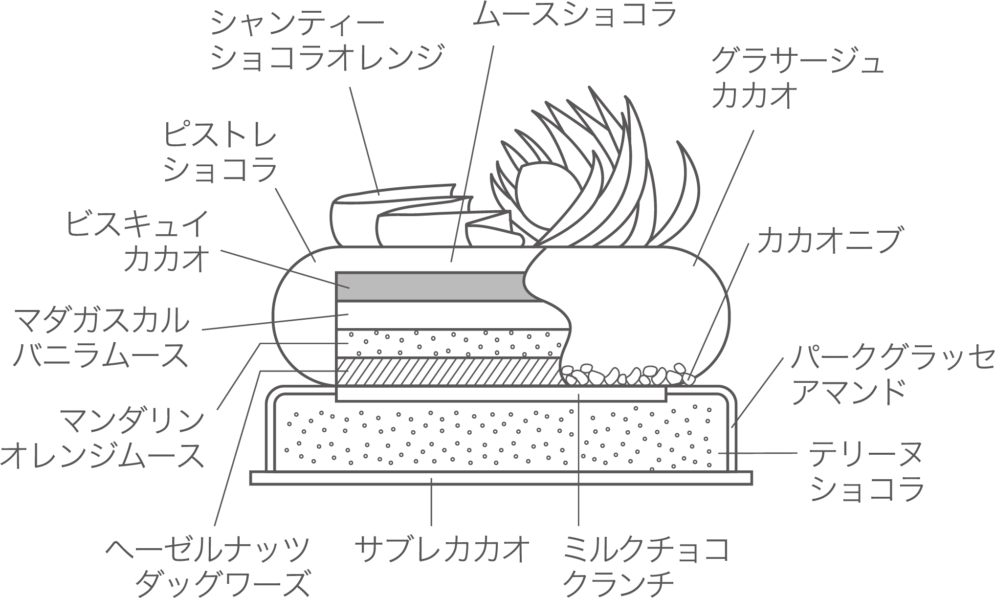 ヴィエンヌ 断面図