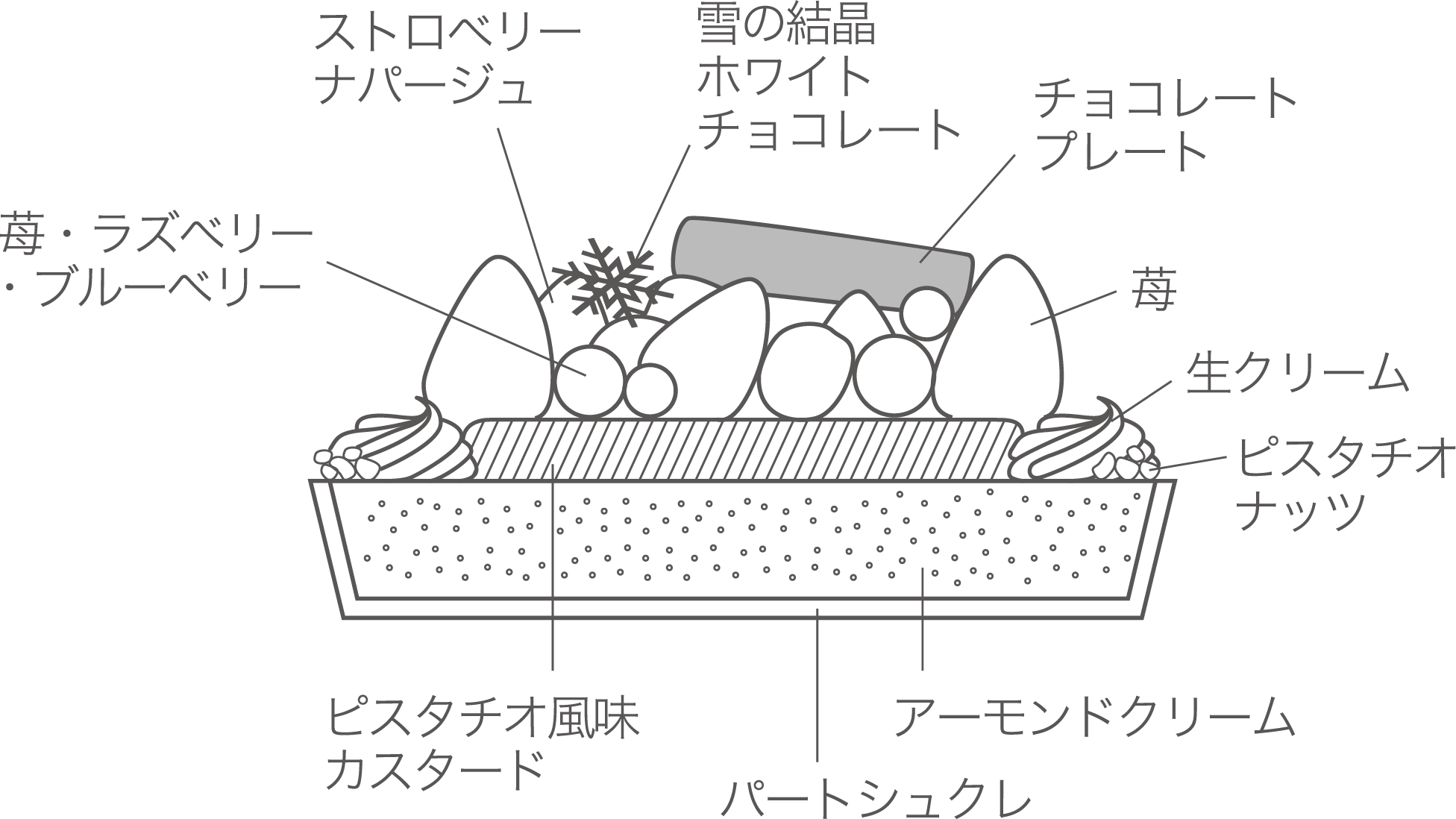 タルトリース 断面図