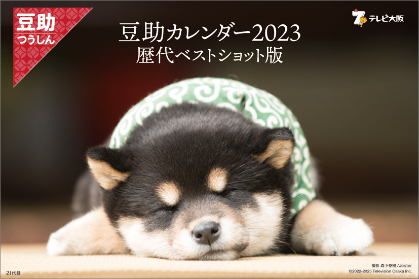 「豆助カレンダー２０２３（卓上）」表紙　２１代目豆助