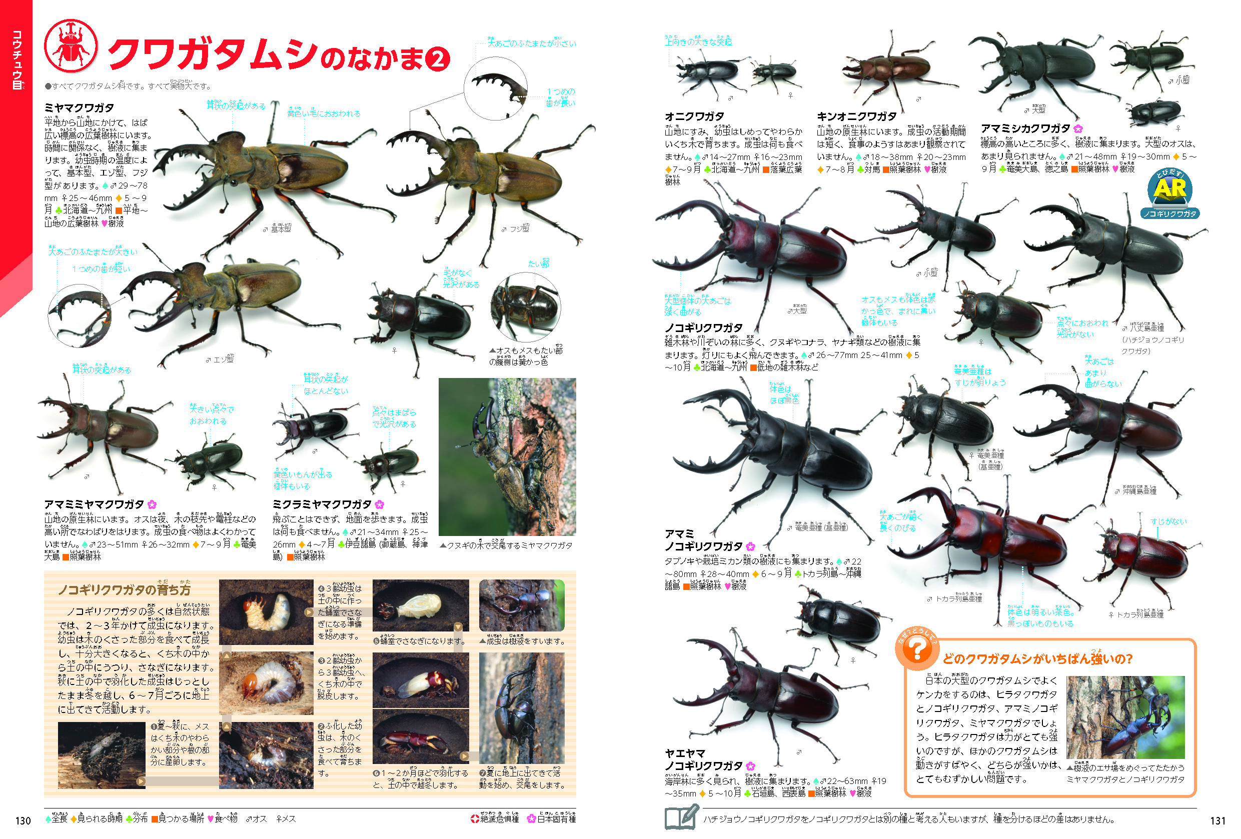 ▲すべてのページにおいて“生きている昆虫”を撮り下ろしたのは、本格図鑑史上初。