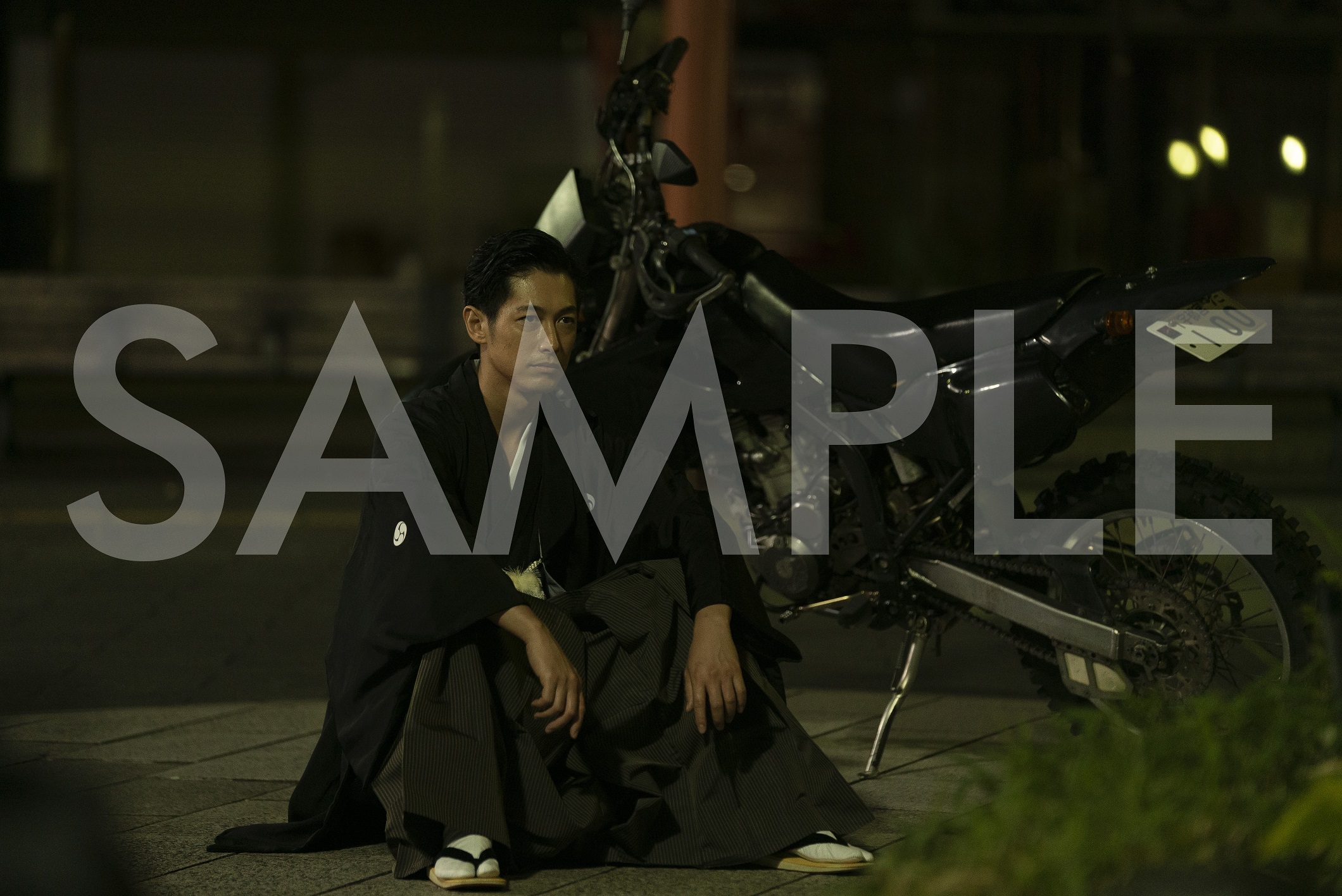 Amazon.co.jp限定： ビジュアルシート2枚組