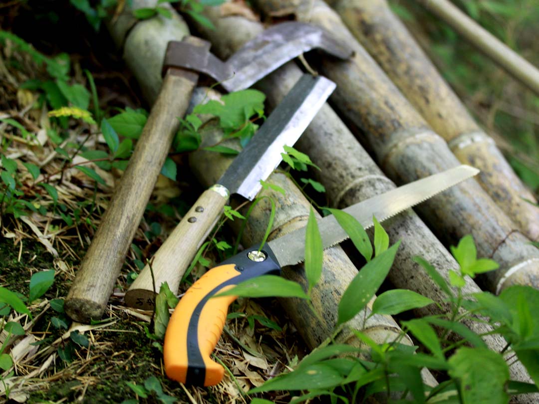 虎竹の伐採方法（竹の切り方）