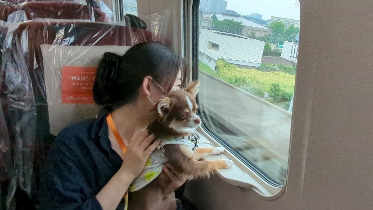 わん！ケーション　新幹線車内での様子