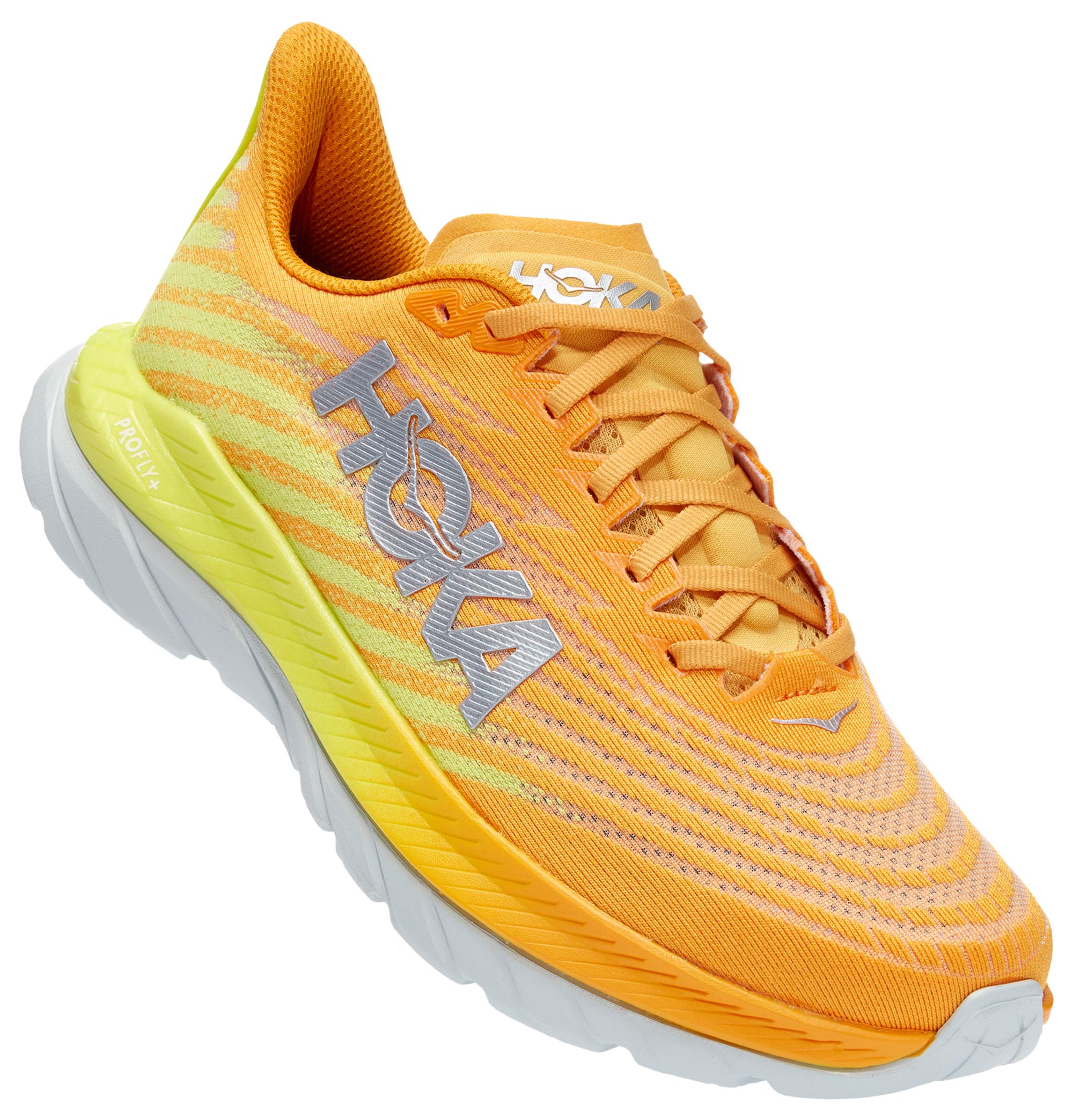 Radiant Yellow・Evening Primrose