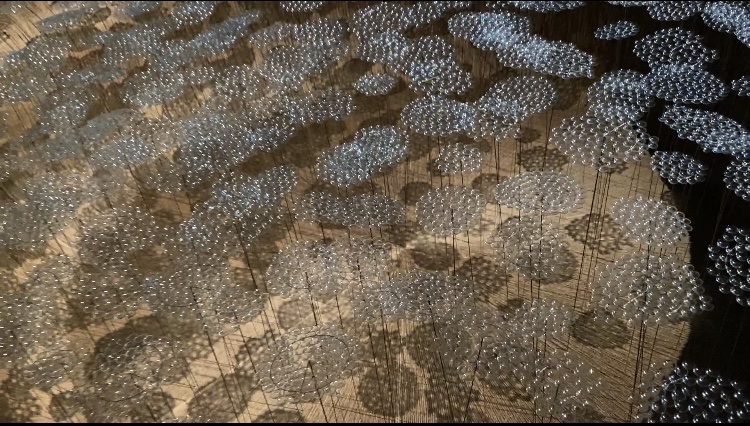 コンタクトレンズを使用した卒業制作作品「まなざし」