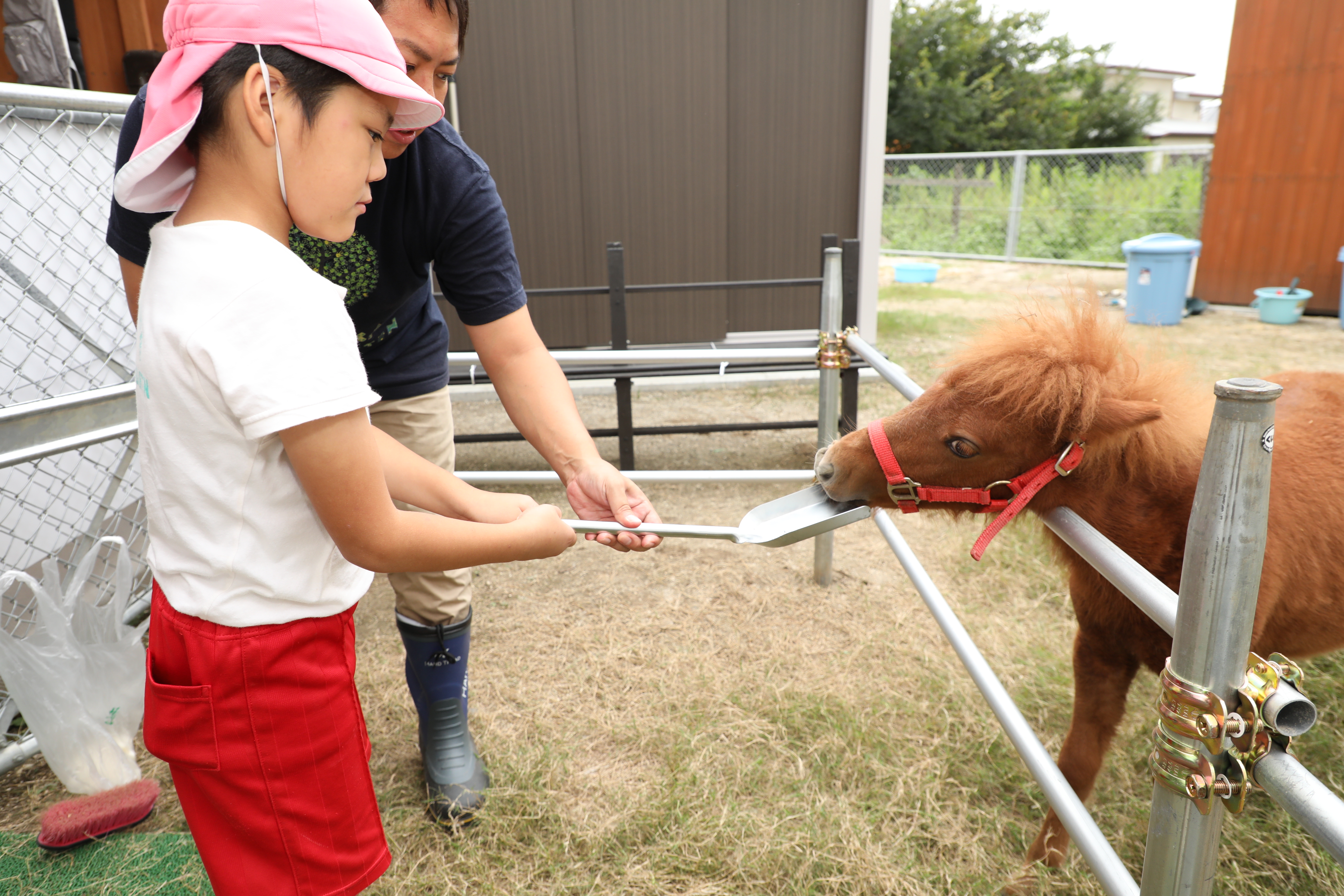 子どもたちがおやつをあげています。