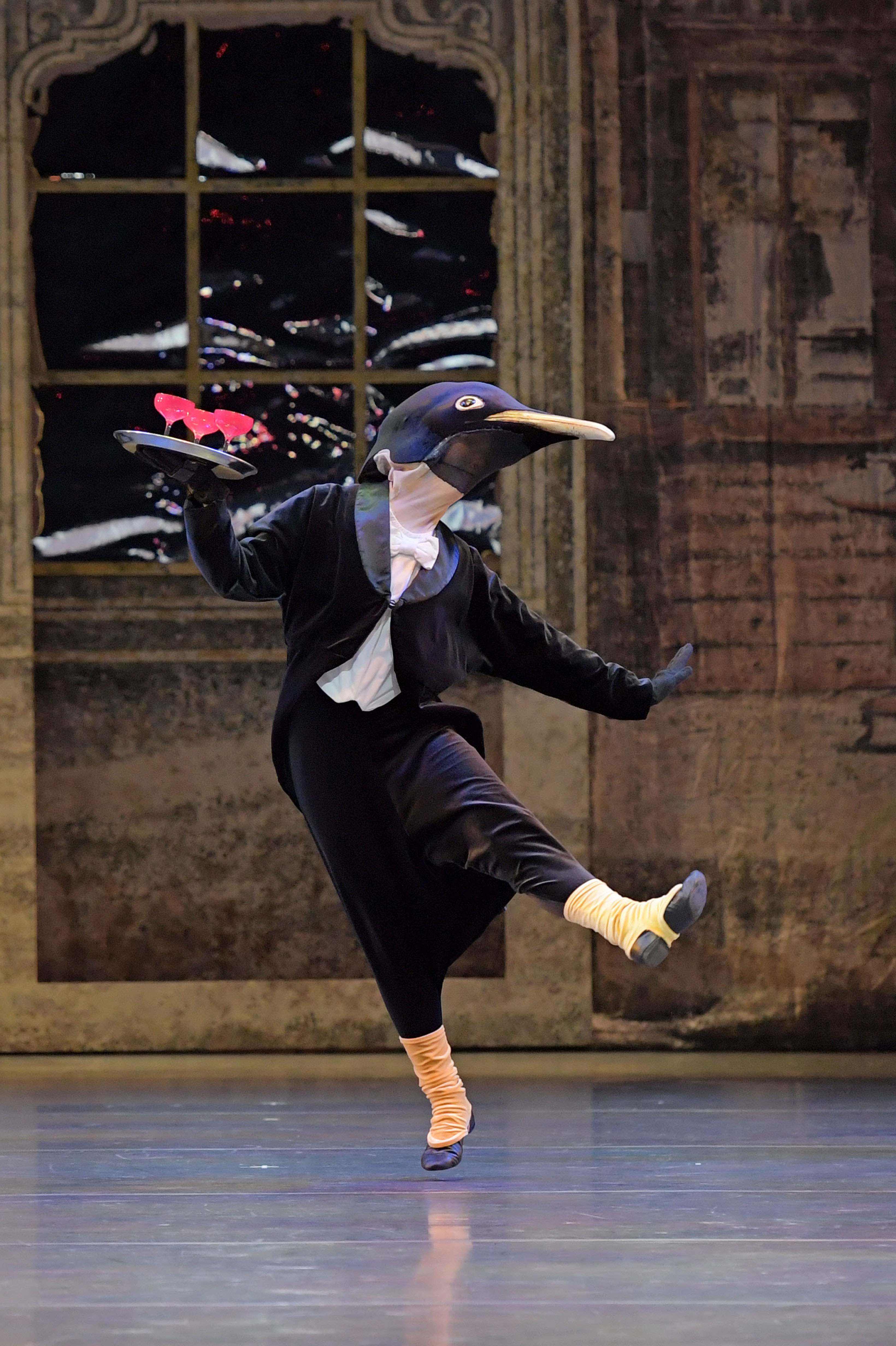 作品に登場するペンギン（オオウミガラス）撮影：鹿摩隆司
