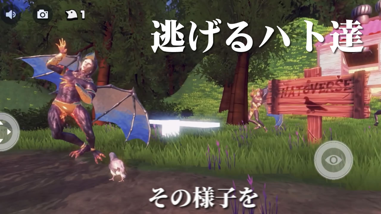 逃げるハト達
