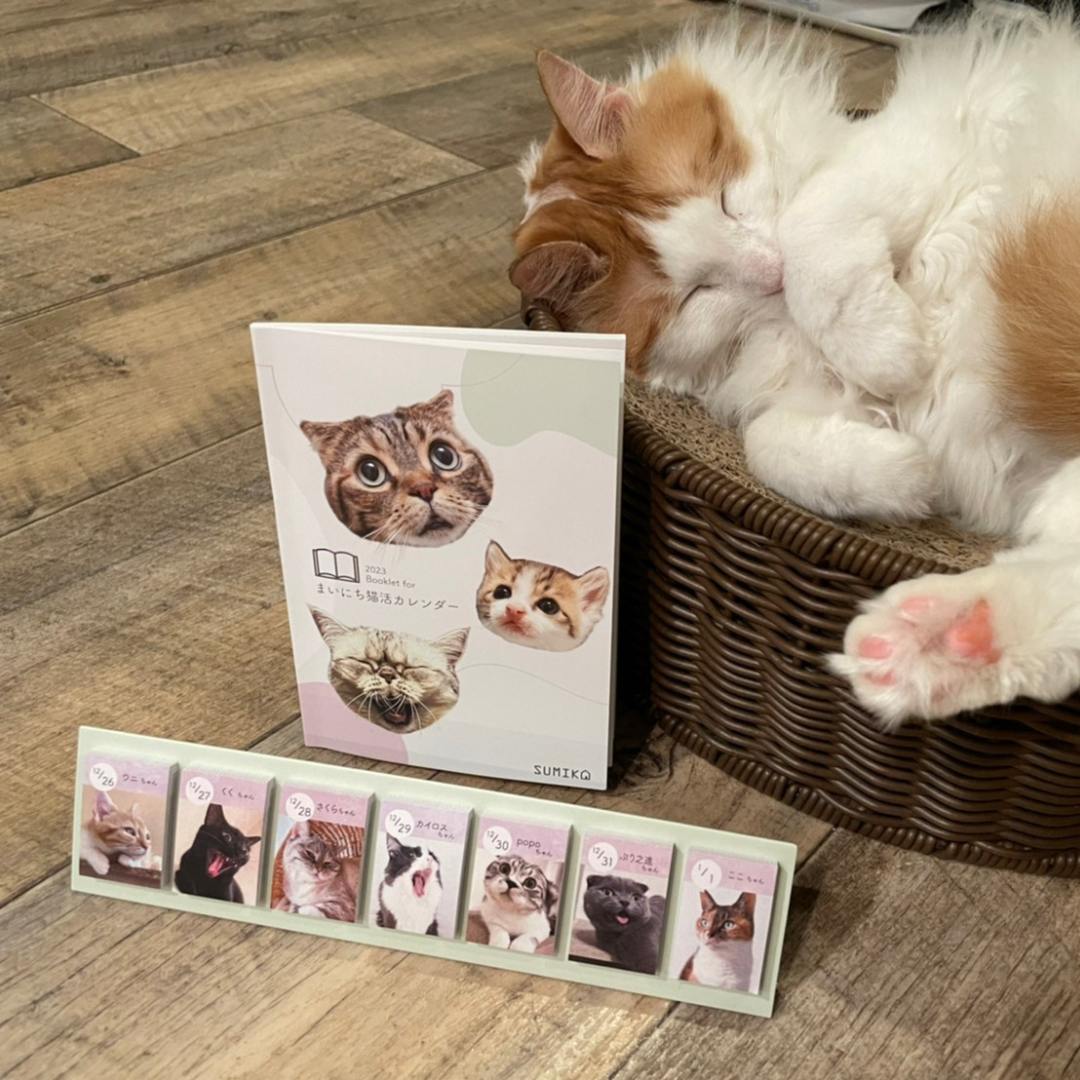 モデルは提携してくださっている「駒猫カフェ」さまの猫ちゃん