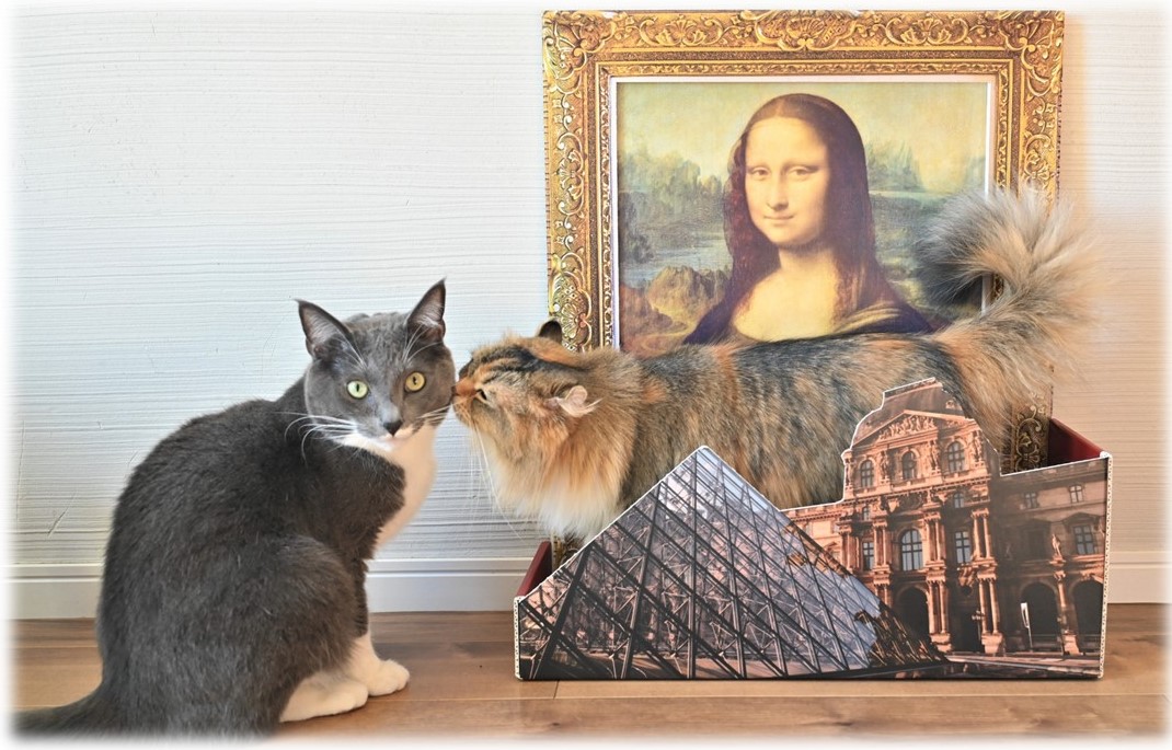 仲良くご機嫌な猫達