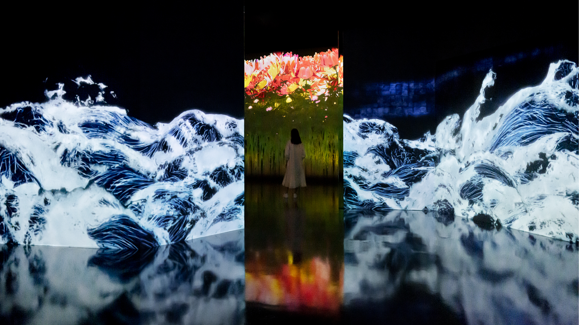チームラボ《teamLab：Impermanent Flowers Floating in a Continuous Sea》 ©️チームラボ