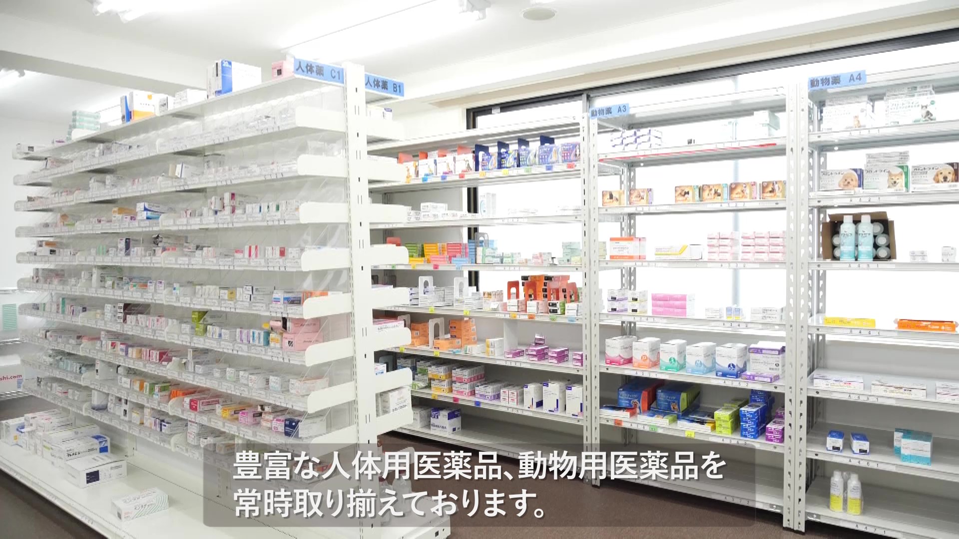 12薬局 事業所内
