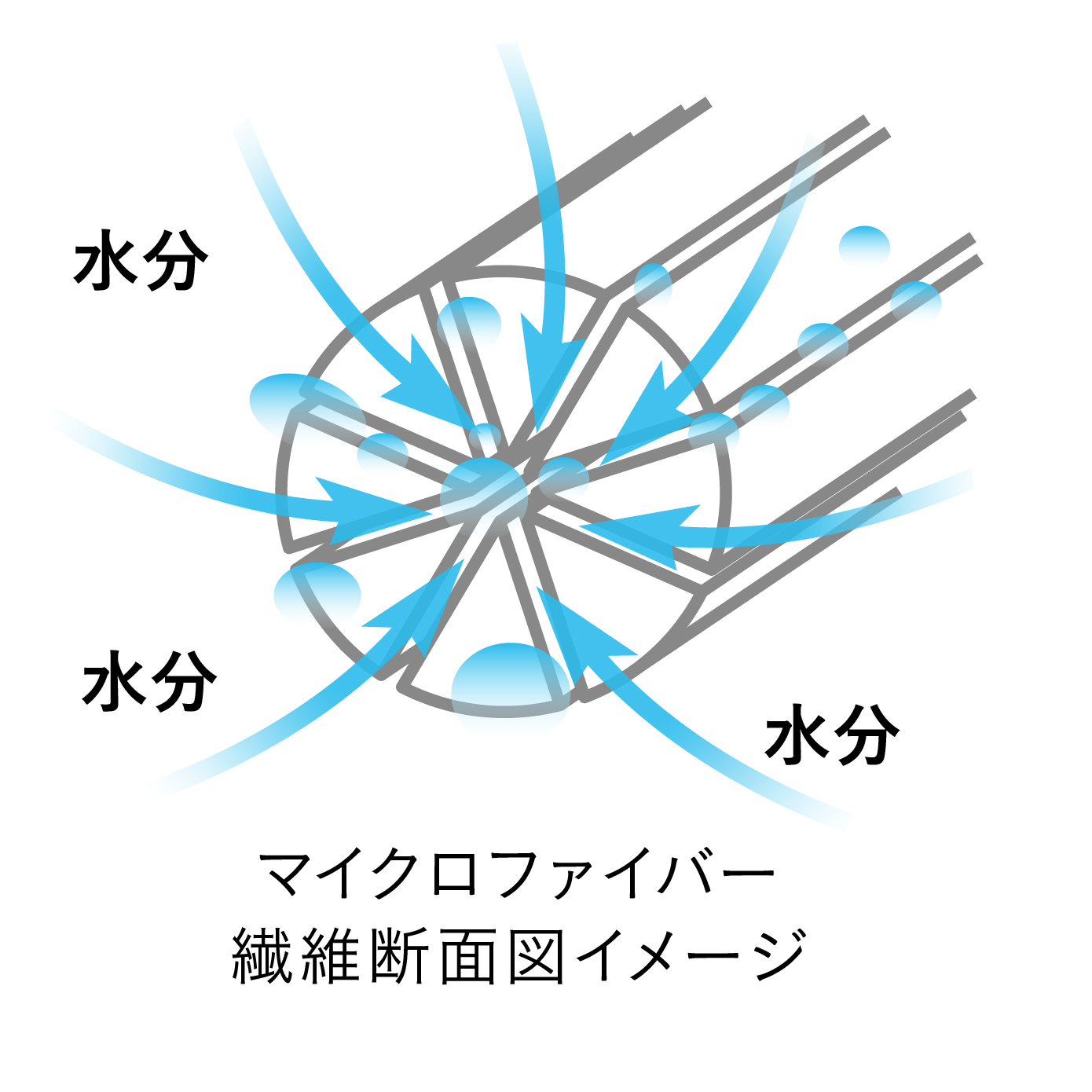 カラリトリコ