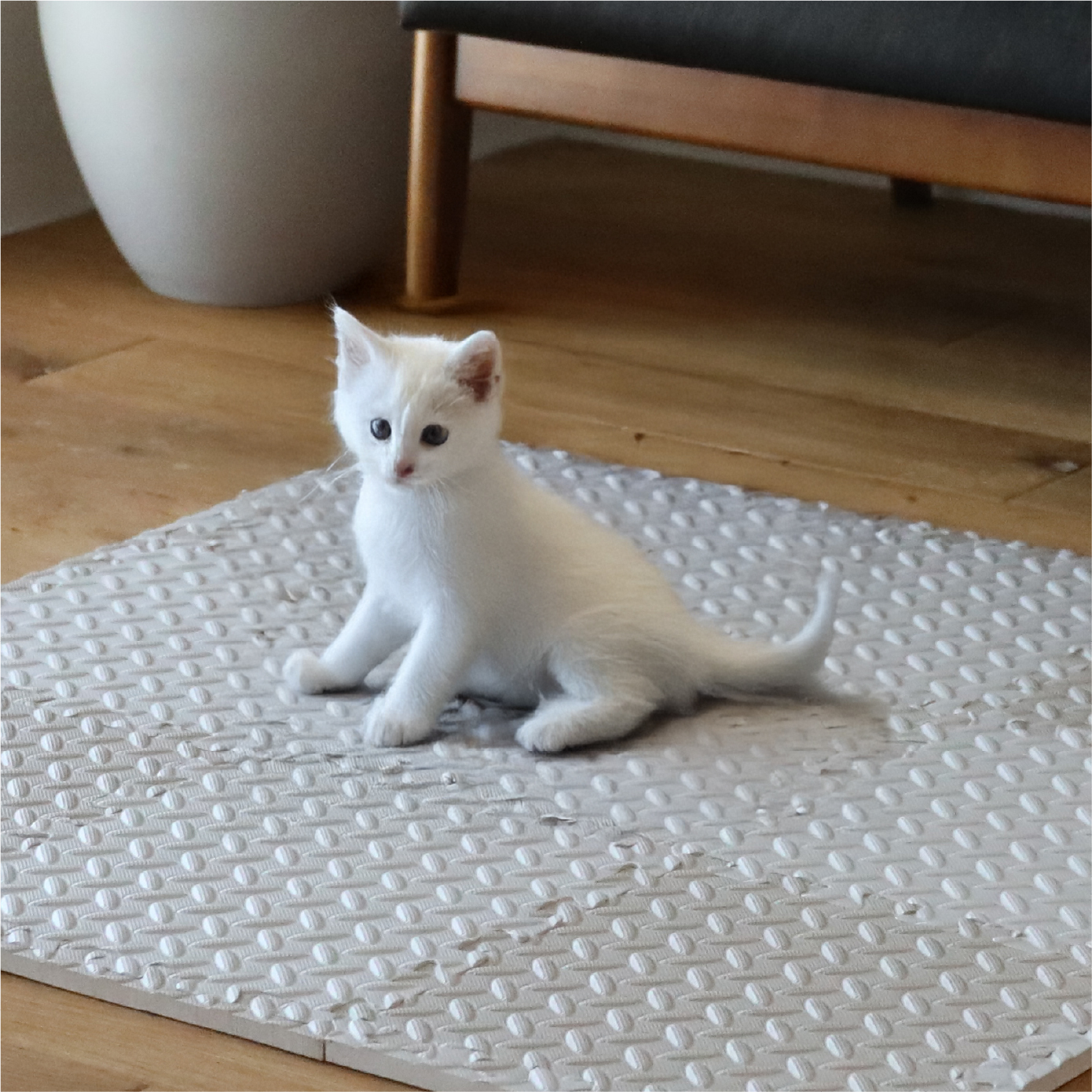 プレイスペースやペットスペースに使えるマット