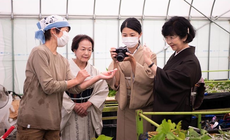 6月下旬、太平長安を育ててくださっている元学芸員の竹内慶子さんのもとを卒業生3名が訪問。 当日は地元新聞社も取材に駆けつけ、プロジェクトの内容や熱心に観察する卒業生たちの様子が翌日の新聞に大きく取り上げられました。