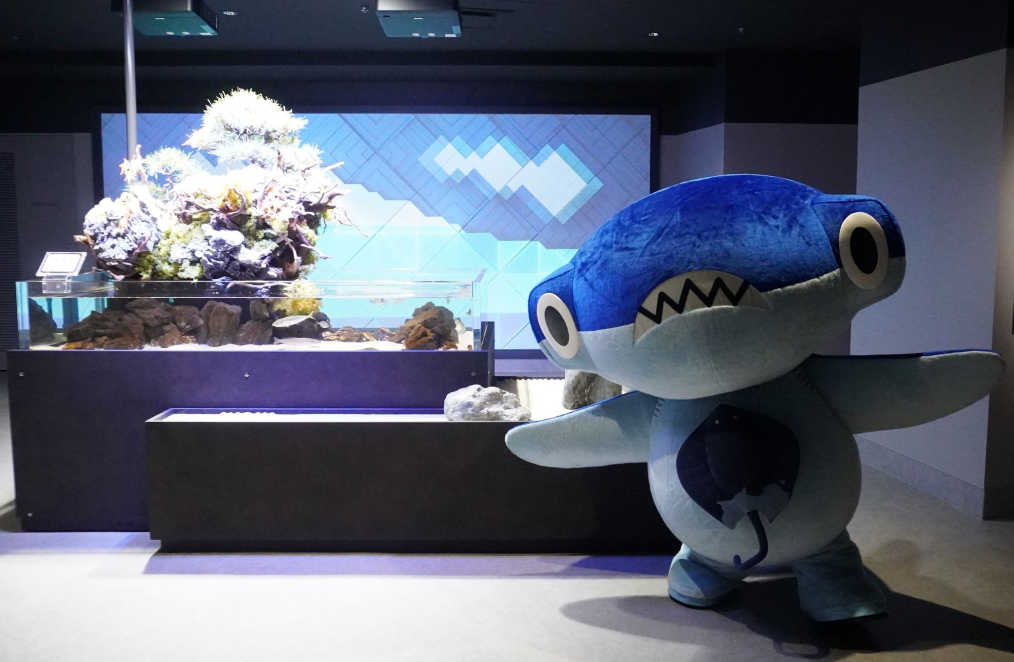 初日に駆けつけた四国水族館宣伝隊長「しゅこくん」（ウェルカムゾーン）