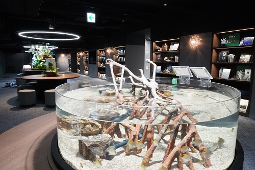 Discoveryで水槽を展示している様子