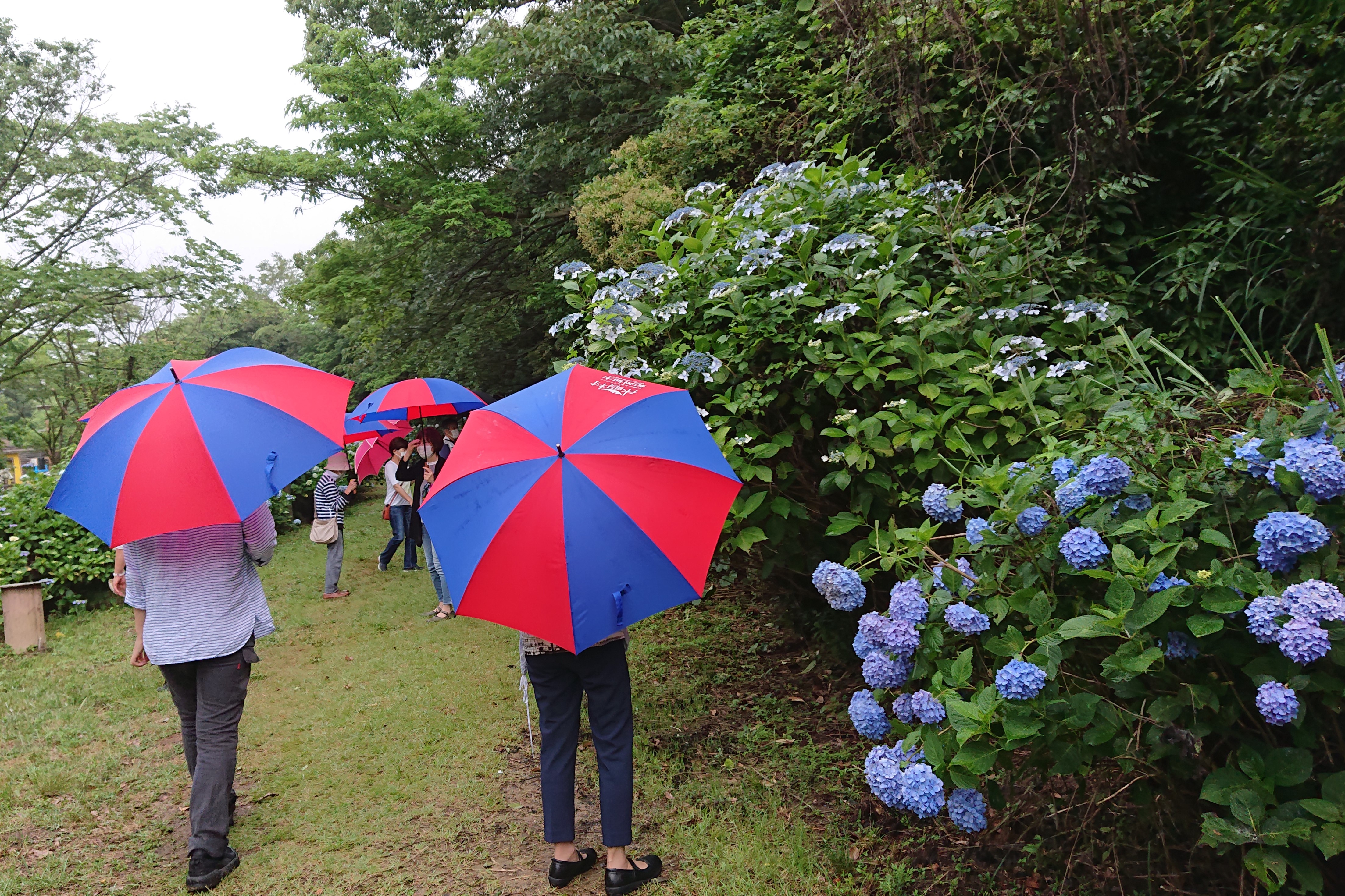 森林公園