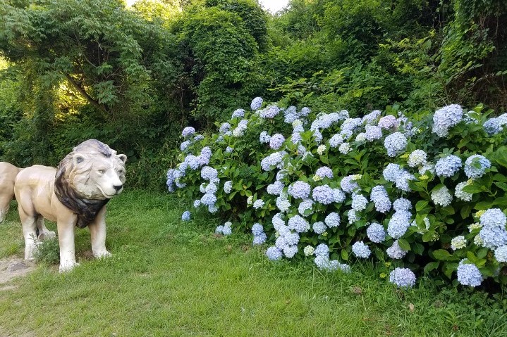 森林公園