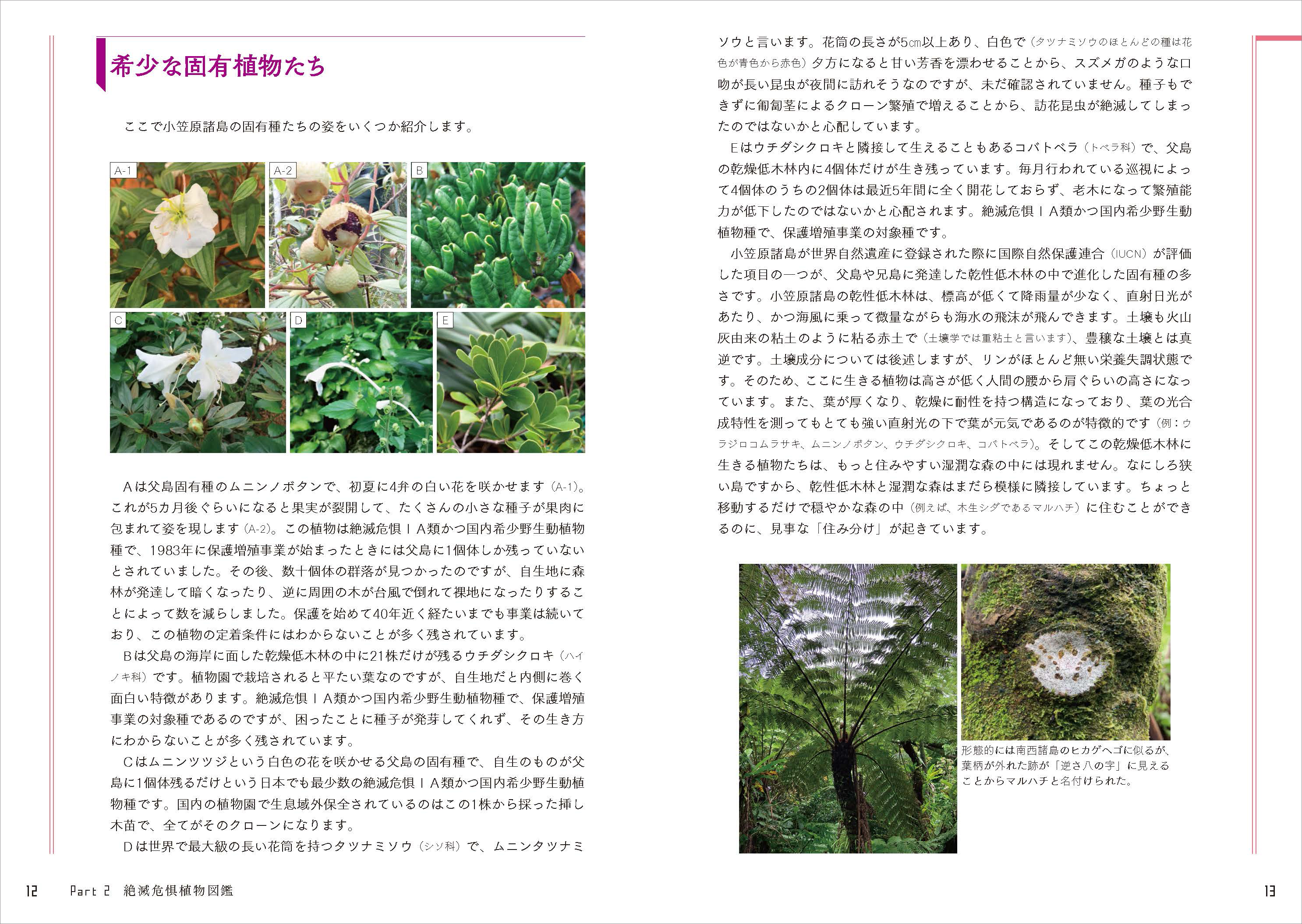 島嶼部の多くの固有植物が絶滅の危機に晒されています。