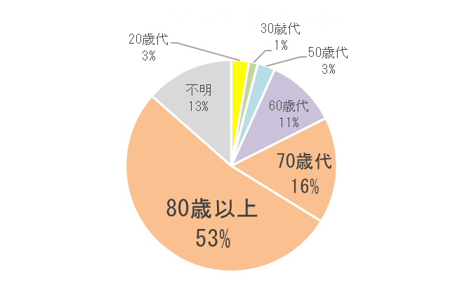図2  死亡事故の被害者の年代別割合