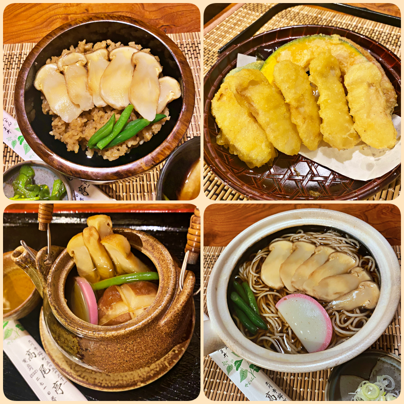 松茸ごはんに天ぷら、土瓶蒸しやおそばにも