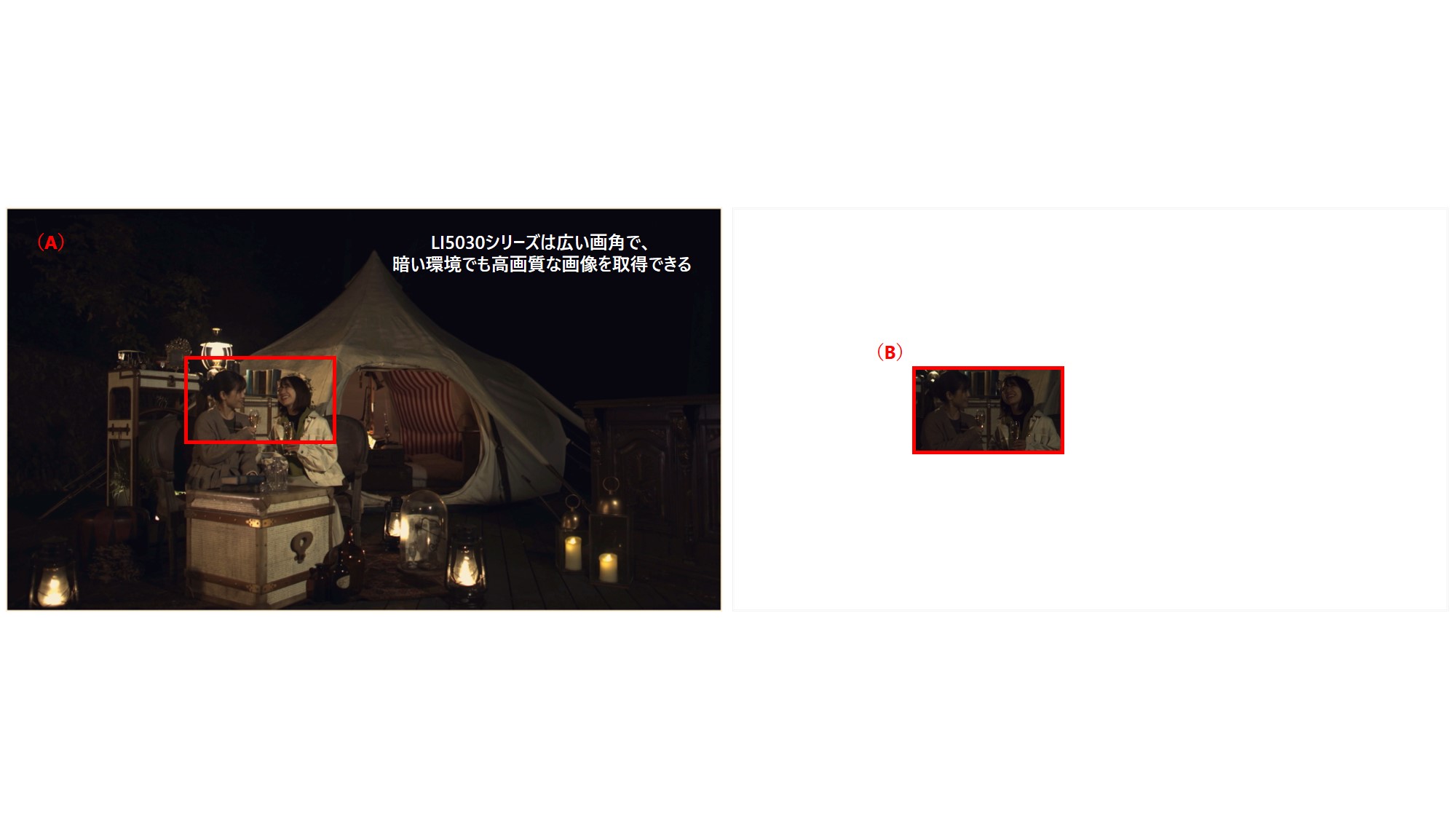 （A）LI5030SACを用いた撮影例、（B）12.1型フルHD（約200万画素）センサー相当の撮影例（※1）